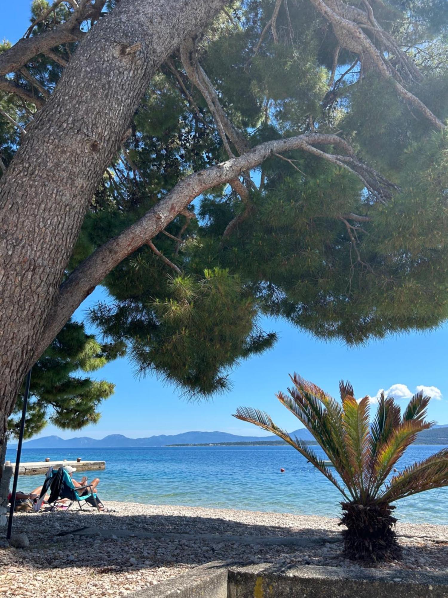 Hotel Sobe Gorana Živogošće Exteriér fotografie