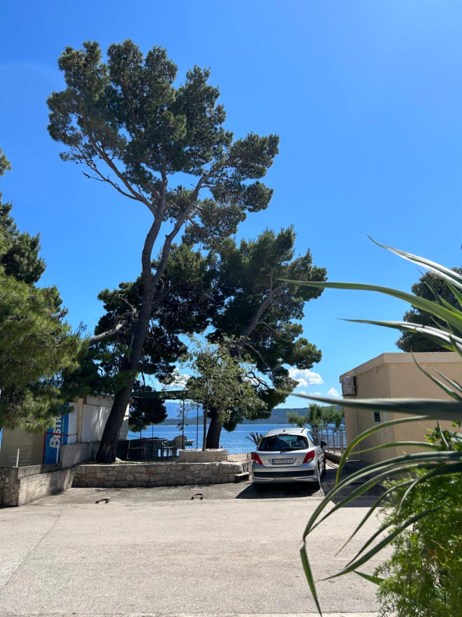 Hotel Sobe Gorana Živogošće Exteriér fotografie
