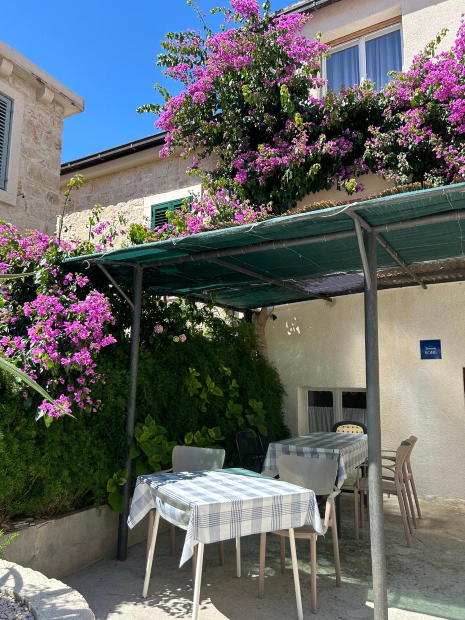 Hotel Sobe Gorana Živogošće Exteriér fotografie