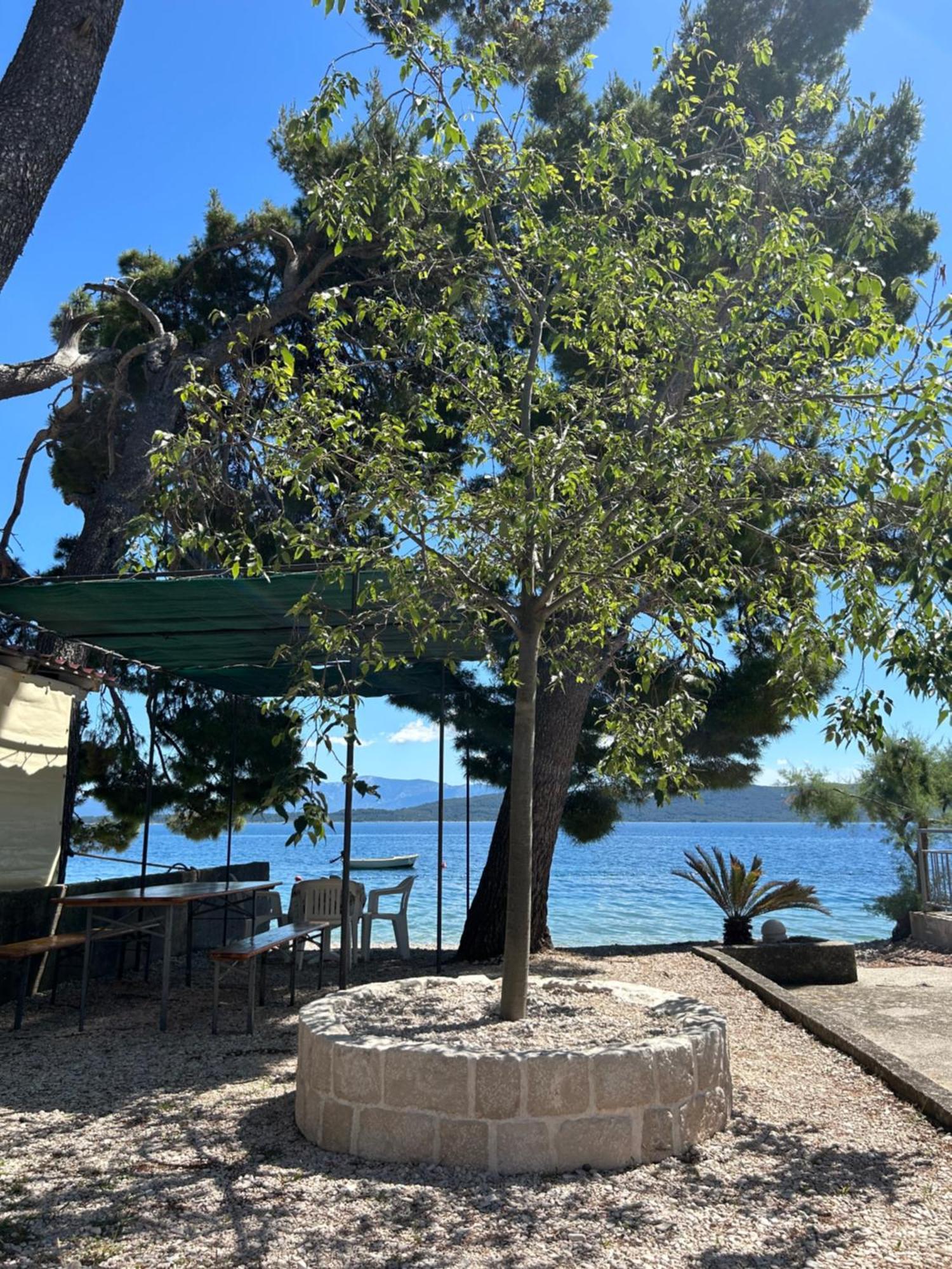 Hotel Sobe Gorana Živogošće Exteriér fotografie