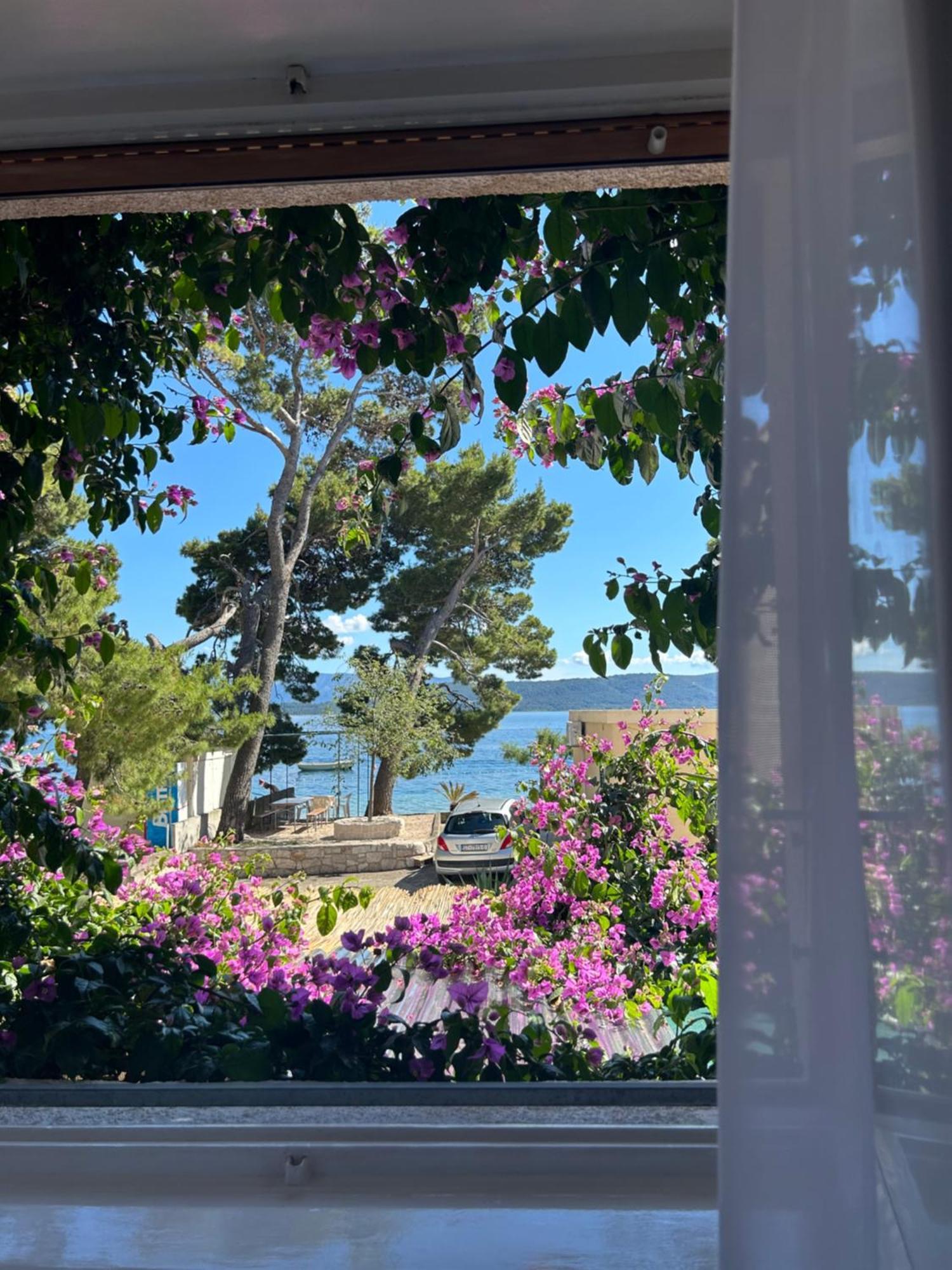 Hotel Sobe Gorana Živogošće Exteriér fotografie